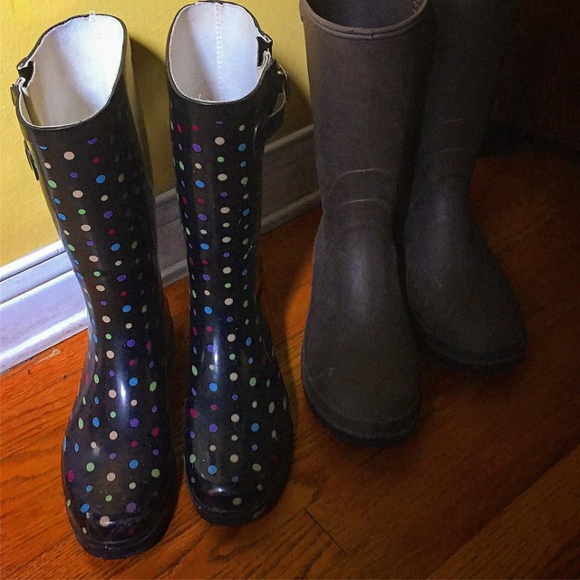 Wellies With all the uncharacteristic rain here in Los Angeles, we've actually had need for our wellies. Hard to believe as it is usually so dry. Not complaining at all, though. #garden #boots #spring #home #stilllife #weather