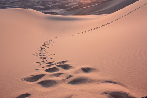 steps | by yulia_china