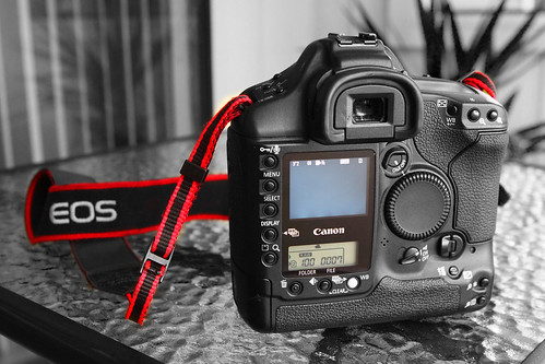 Canon EOS 1d Mark ii by Arnold Montgomery Photos