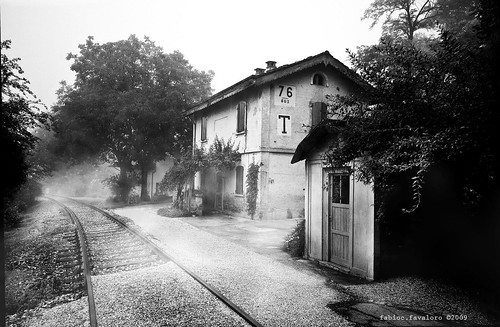 a foggy morning by fabio c. favaloro