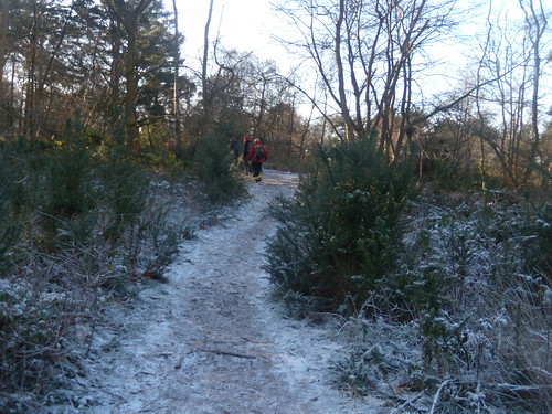 Frosty path DSCN8268 Haslemere Round Walk