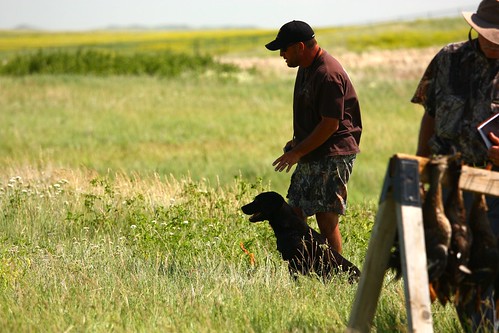 city test dog black club duck mt south retriever hills rushmore mount rapid dakota 2009 hunt