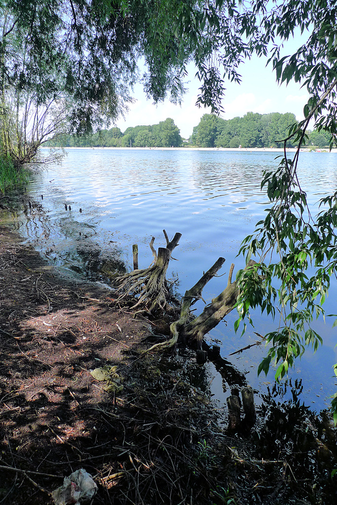 Salzgittersee