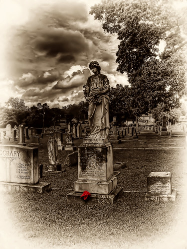 red bw cemetery graveyard rose sepia lexingtonnc lexingtoncemetery jeanetterunyon