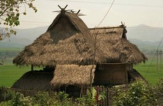 Dai house architecture with bamboo sides and thatched roof; S Xishuangbanna, Yunnan, China