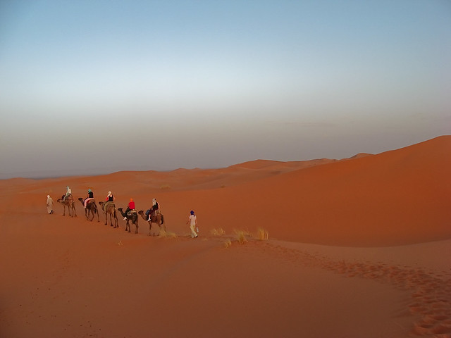 the width of the Sahara