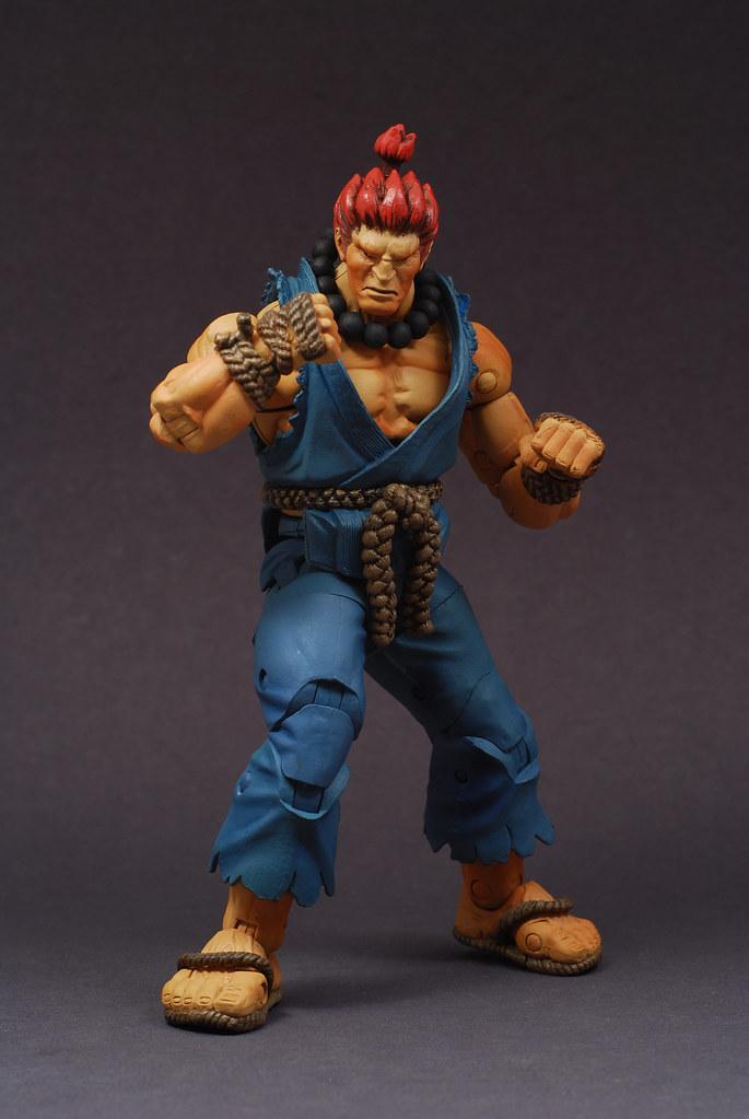 NECA Street Fighter IV Akuma, GogDog