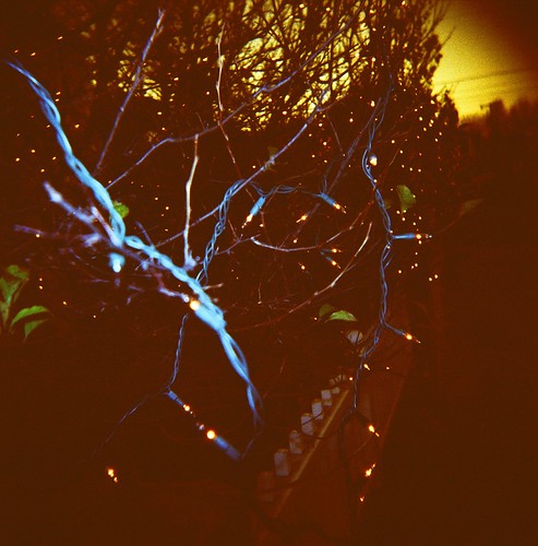 blue sunset mediumformat holga toycamera crossprocessing theinnatlittlewashington christmaslightsxpro