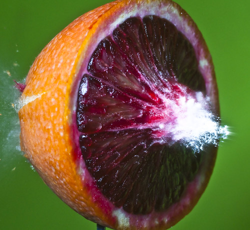 Bloody Mayhem | by alan_sailer