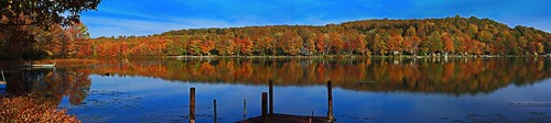 autumn trees lake fall nature water leaves landscape pretty natural panoramic northeast pennsylvannia naturelovers lakehenry lenberry