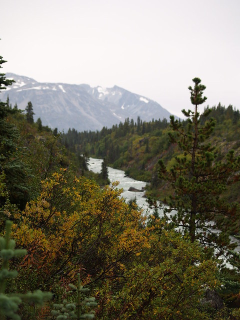 A Yukon river at the start of fall