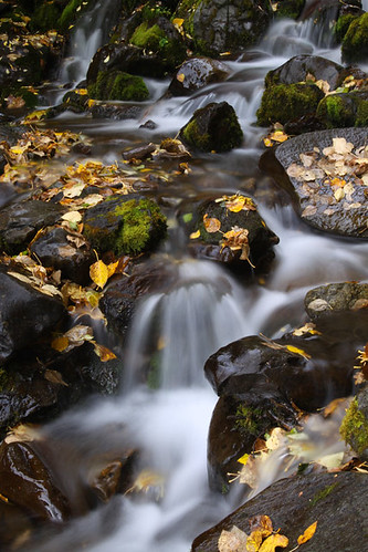 Fall At Falls Creek | by Doug Lloyd