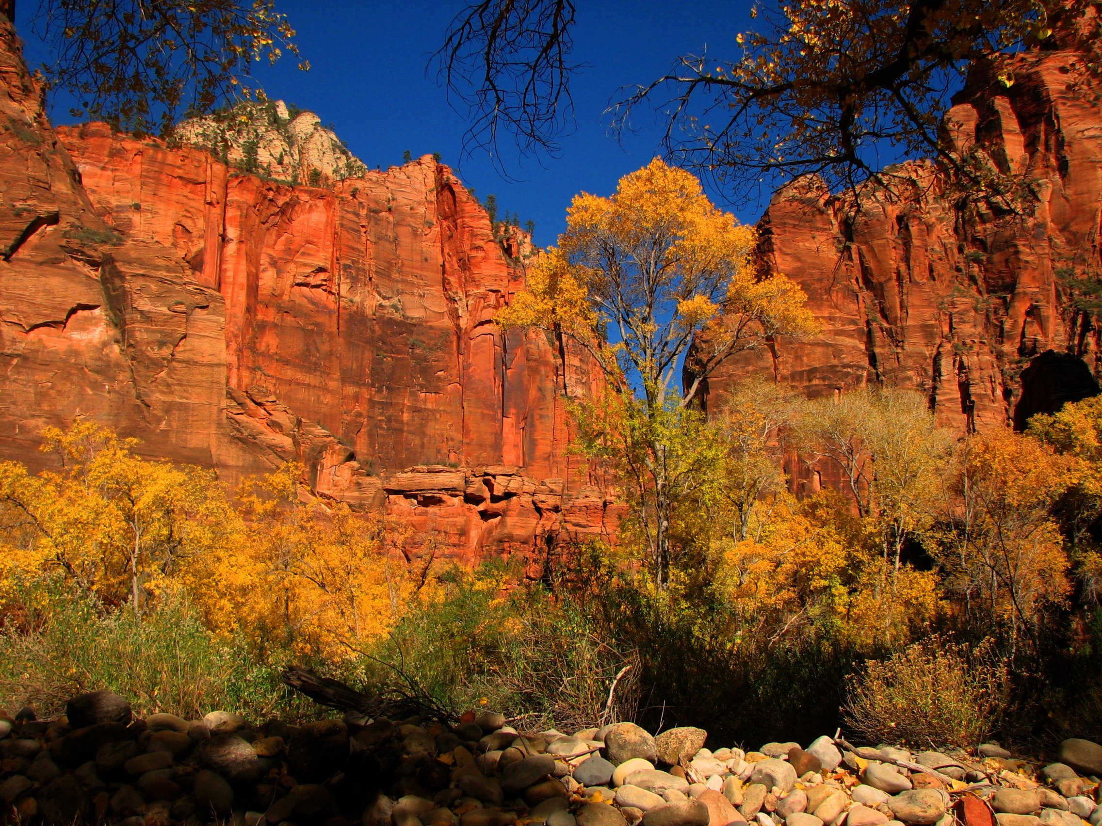 All sizes | Zion National Park | Flickr - Photo Sharing!