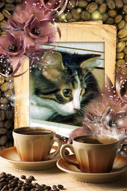 Baby Mitzi Exploring Framed Behind Two Cups Of Coffee