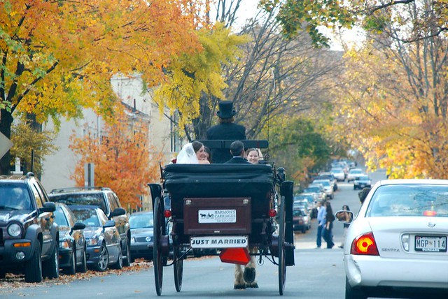 Horse carriage in Washington, DC