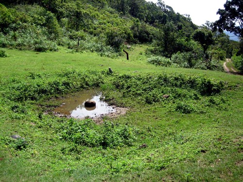 india nature trek karnataka coorg