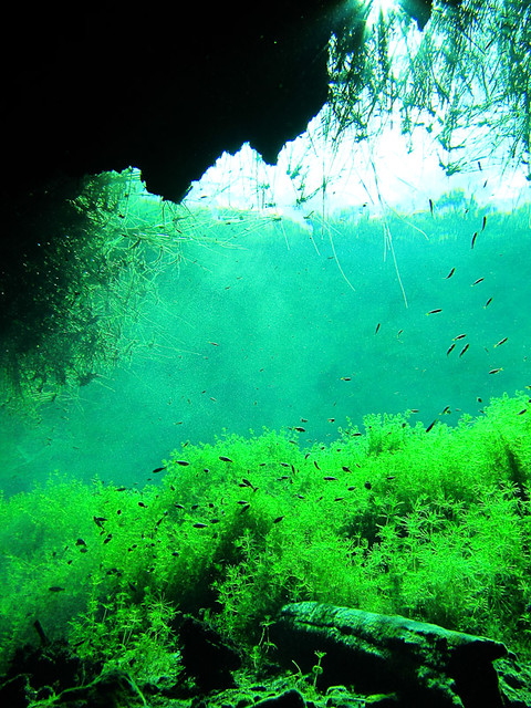 Cenote Naharon - Cavern Zone