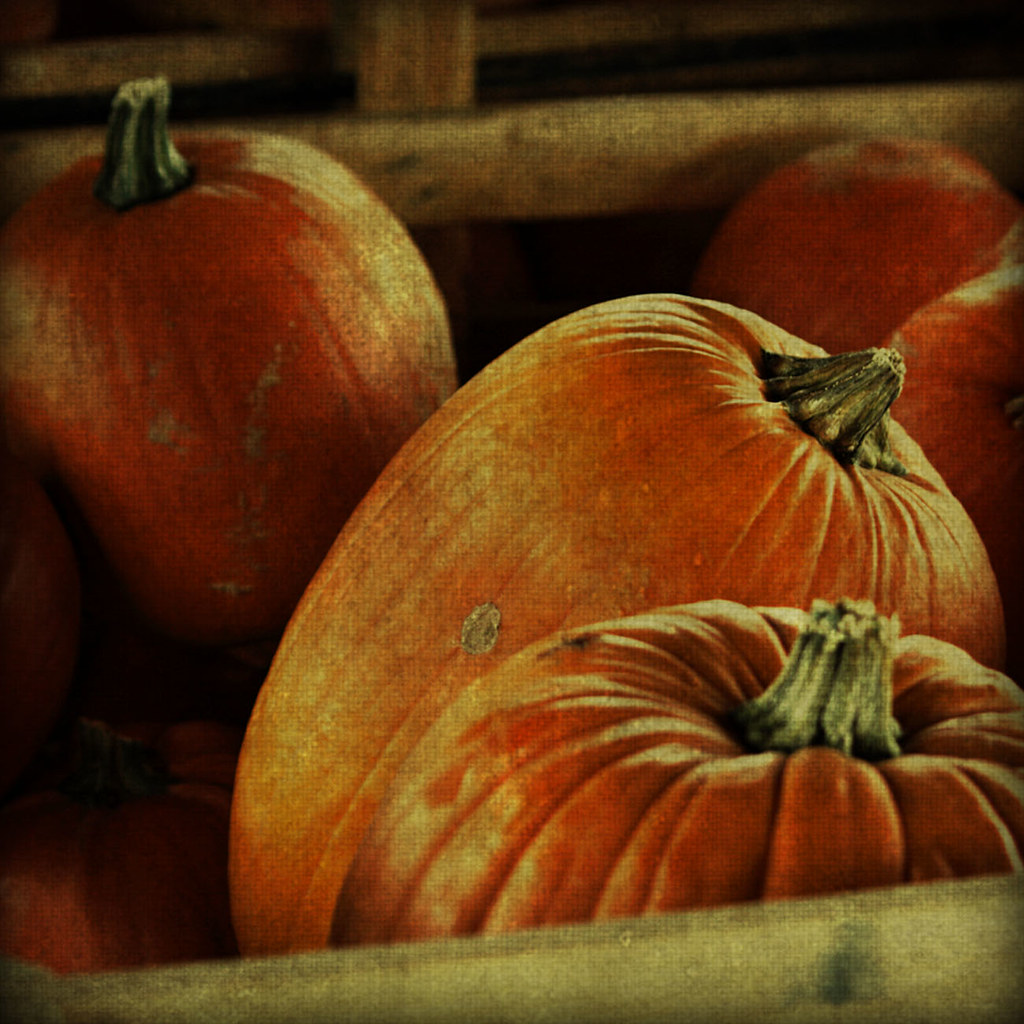 Pumpkin party Ѽ by ☁`*Petra