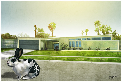 Modern Rabbit no. 1