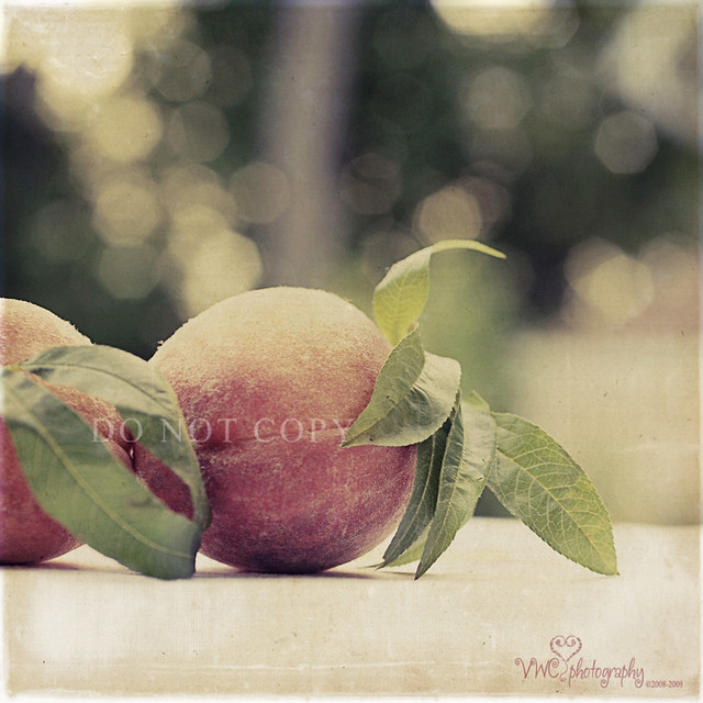 If I had my little way I'd eat peaches everyday, Sun soakin bulges in the shade