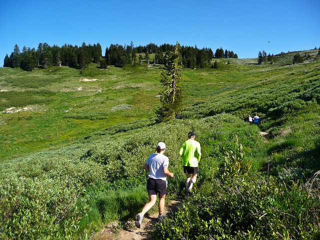 1/3 of the Way There - Siskiyou Outback Trail Run