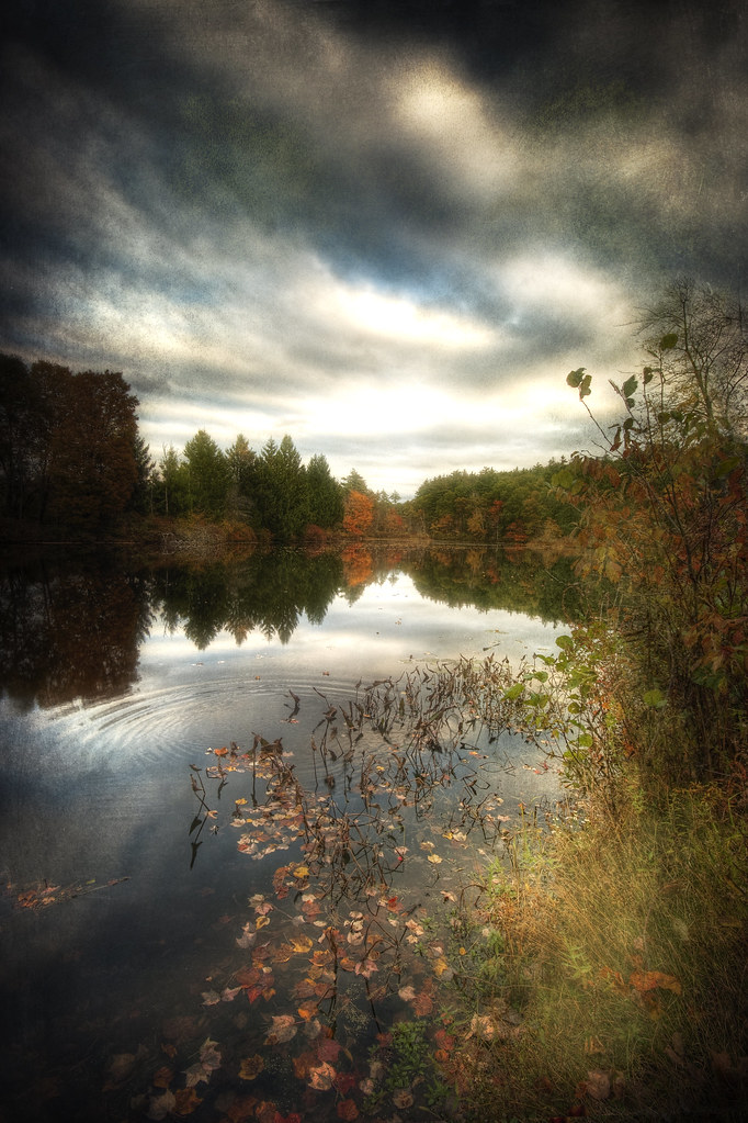 Dunstable Pond by Patrick Campagnone