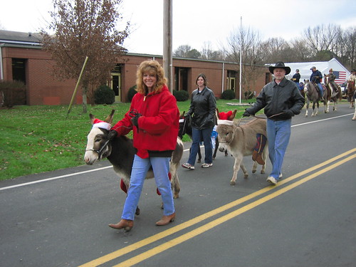 Christmas Parade Miniature Donkey | by legendarycollectorcars