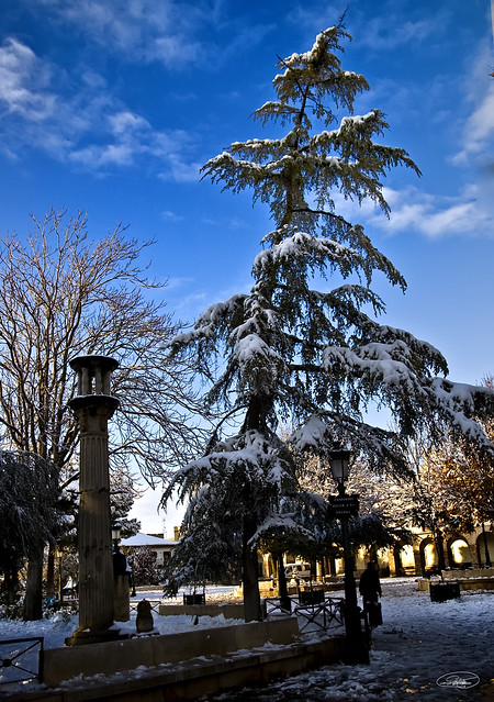 plaza de madridejos nevada