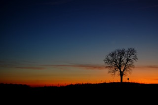 Solitary Sunset