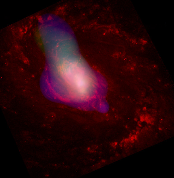 Black Hole Torus: Wind and Reflections (Redux: NASA, Chandra, 7/09/03)