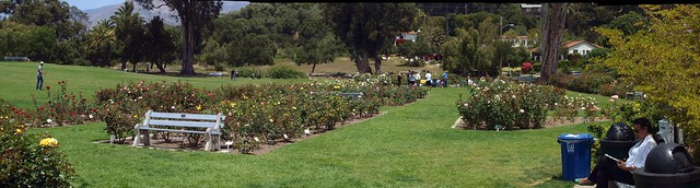 K5229411_5 110522 Santa Barbara Postel rose garden upper area ICE p3 stitch98