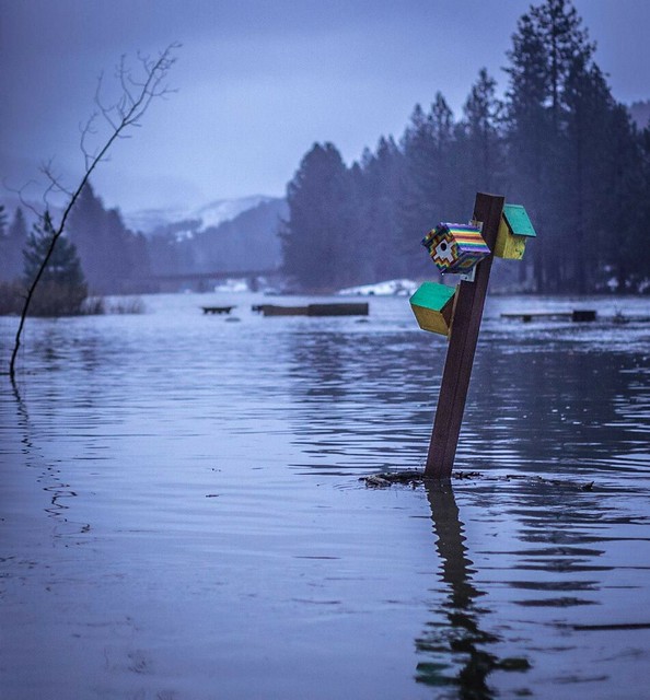 FLOODING IN CALIFORNIA / Feather River Over It's Banks