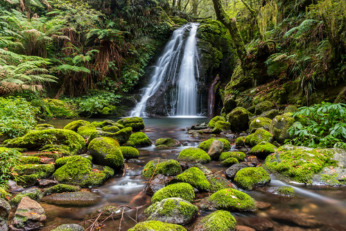 IMG_3342-2 | by robsta808