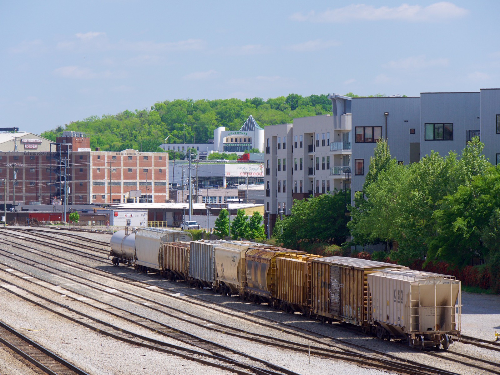 The Gulch
