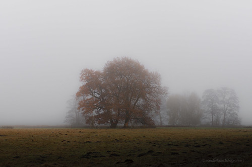 201611269345 benneveld drenthe makingheapsdiggingholes autumn field fog landscape mist tree