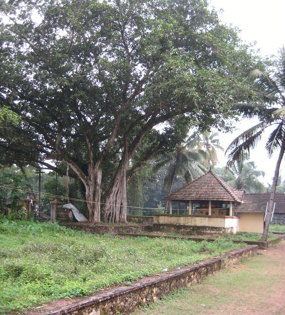 Krishnar shrine 2