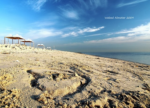 Nice Day (Kuwait Anjefa Beach)