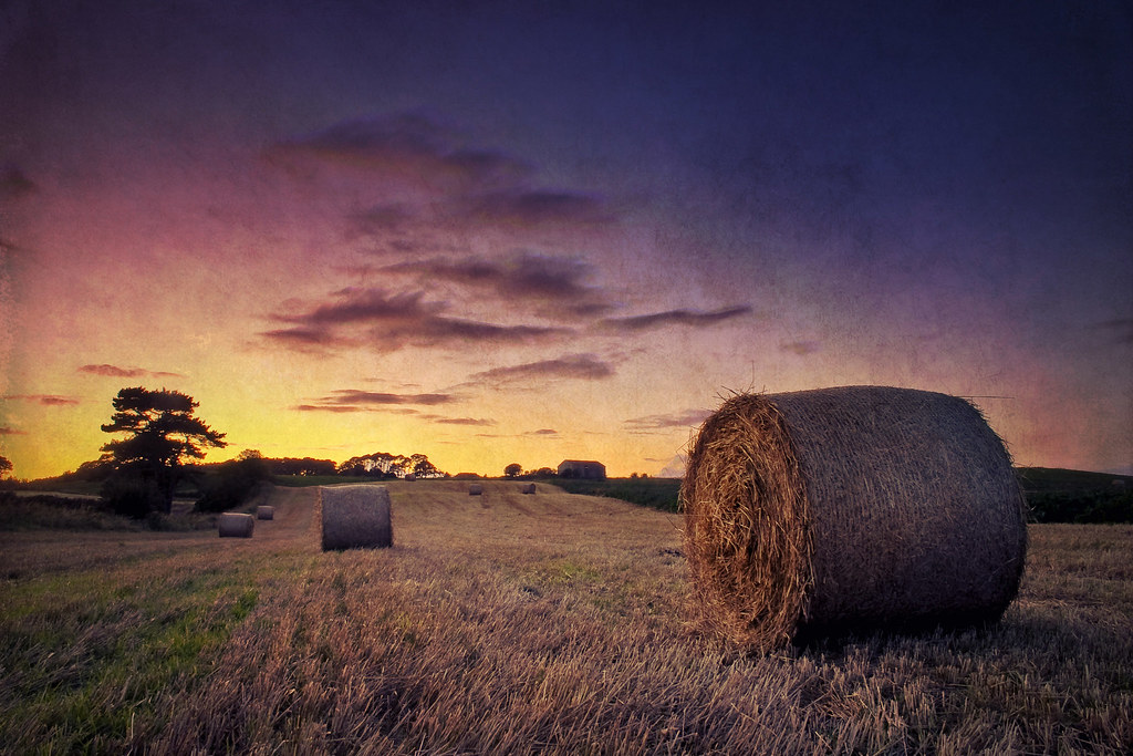 Make hay, not war. by Stuart Stevenson