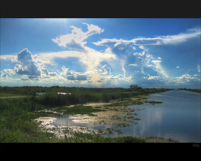 Everglades Sun Ray