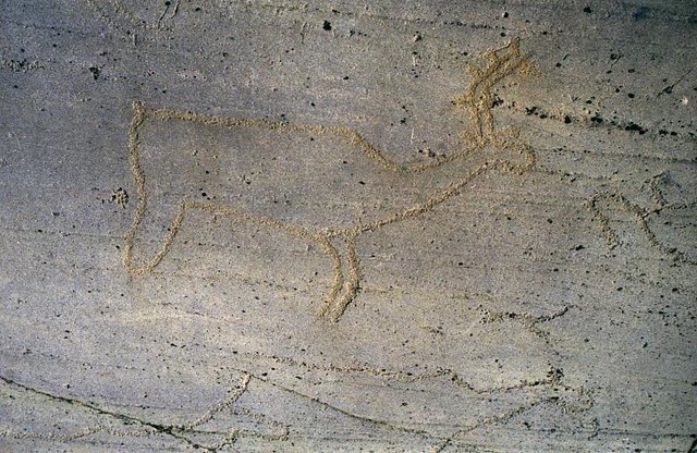 Alta Petroglyphs (UNESCO WHS)