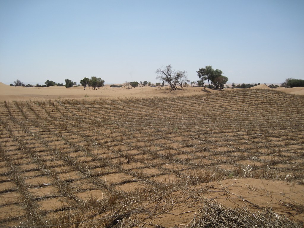 Preventing desertification