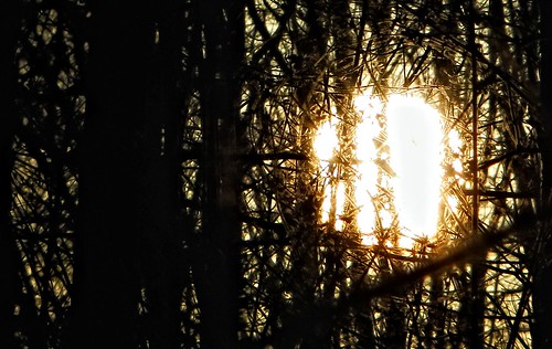 sunset sun out web explore sonne ~ burned netz feierabend michau durchgebrannt sonydschx1 froschkönigphotos