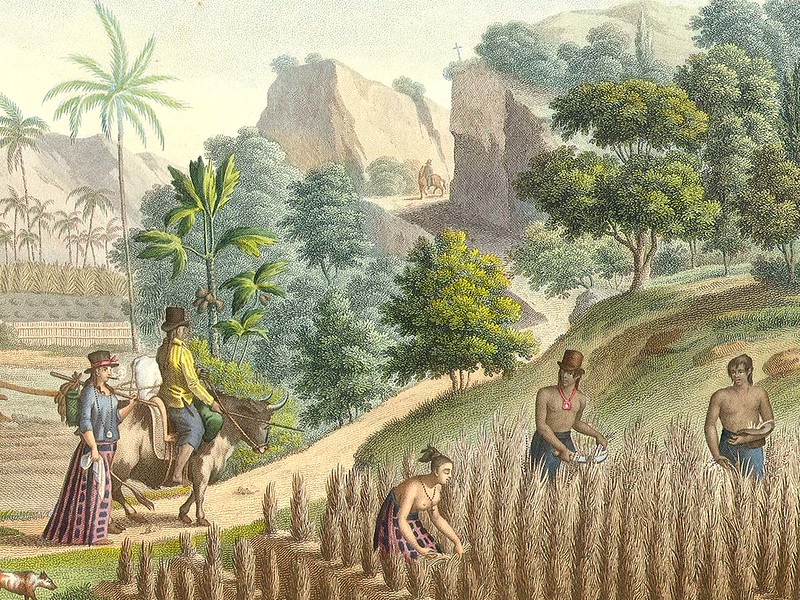 After the Spanish Chamorro Wars, the mannakilo' became the ruling class and the mannakpapa became the lower class or the laborers. Illustrated by J.A. Pellion for Freycinte's 1824 collection

J.A. Pellion/Guam Public Library System