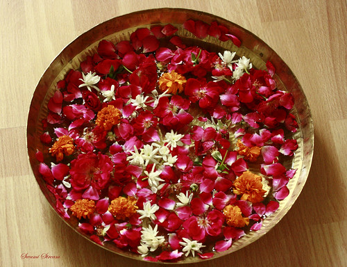 red roses home canon gurgaon arrangement haryana jasmise thaliflower uniwolrdgarden