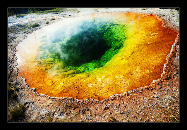 Morning Glory Pool, Yellowstone National Park