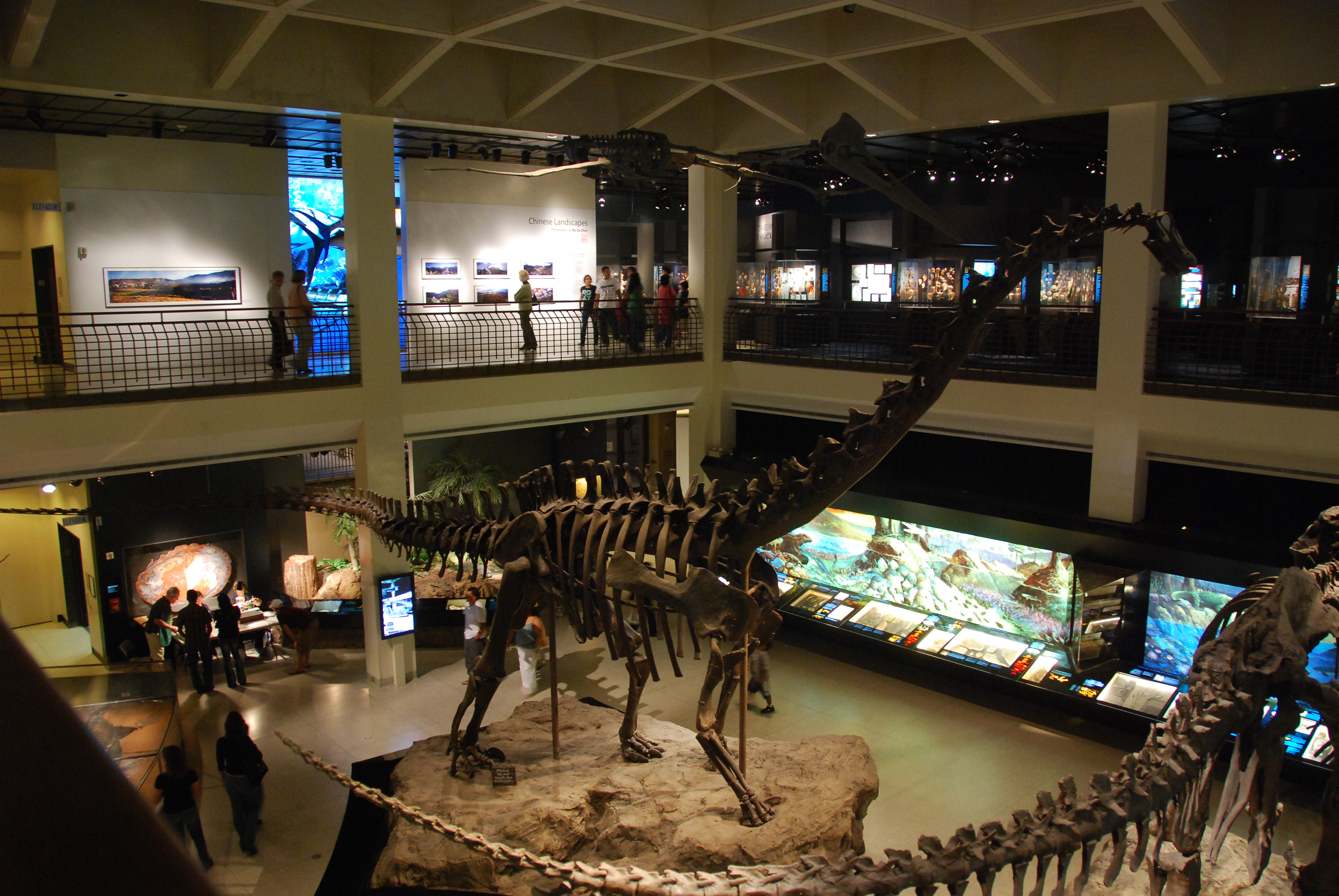 The Houston Museum of Natural Science