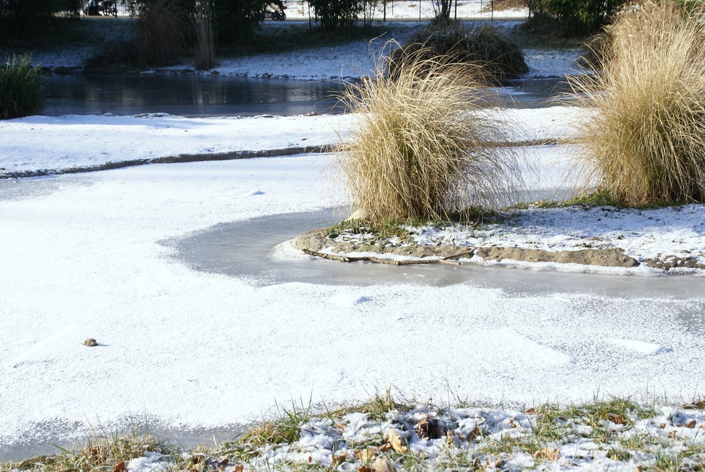 Gefrorener See (icy pond)