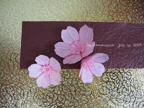Origami Sakura Flower おりがみ 桜の花 清水 五月 Flickr