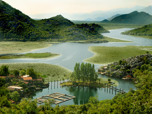 blue lake green water picnic soe montenegro crnagora jezero skadarskojezero skadarlake sandradjurbuzovicdimitrijevic flickrdiamond karuc mallmixstaraward