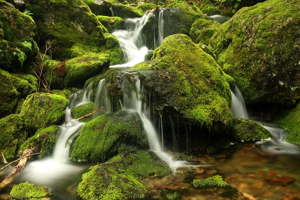 Rocks, Moss, & Water by Martin Cathrae